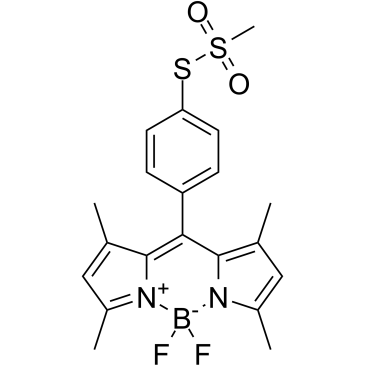 BODIPY-TS Chemical Structure
