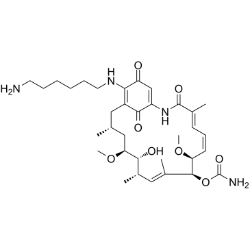 Aminohexylgeldanamycin Chemical Structure