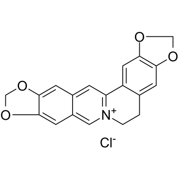 Pseudocoptisine chloride Chemical Structure