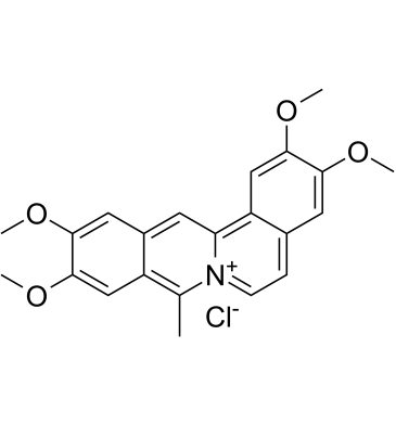 Coralyne chloride Chemical Structure