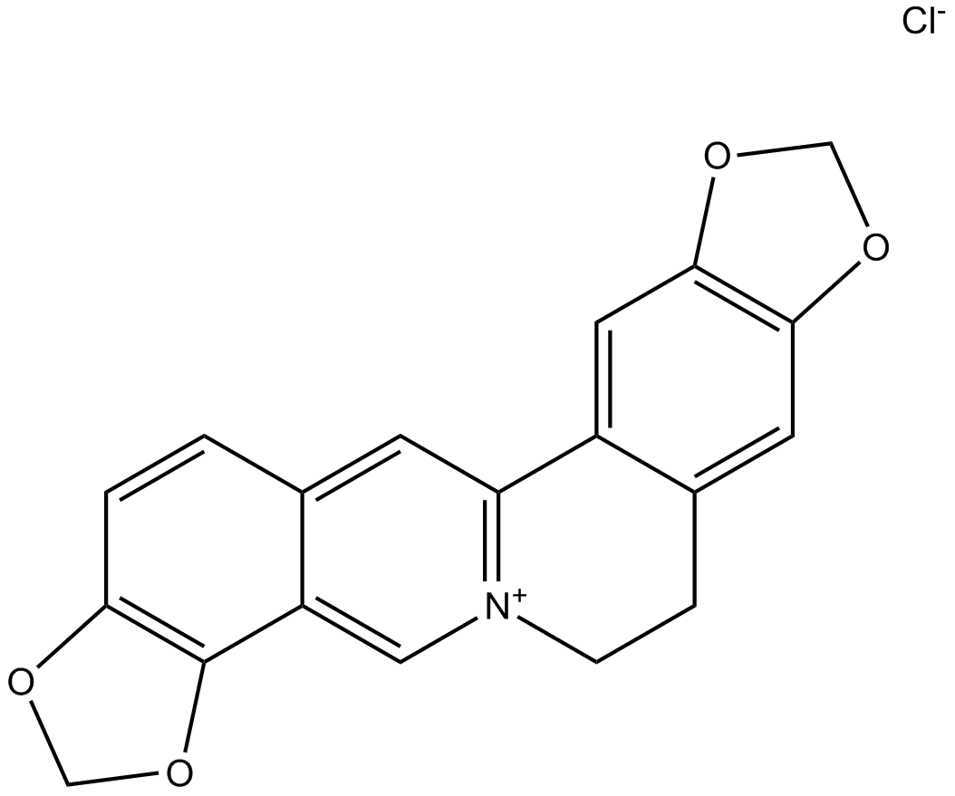 Coptisine chloride Chemical Structure