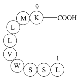 alpha-1 antitrypsin fragment 235-243 [Homo sapiens]/[Papio hamadryas]/[Cercopithecus aethiops] Chemical Structure