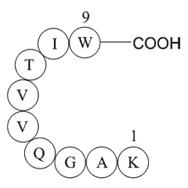 Lamin fragment Chemical Structure