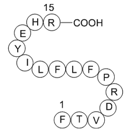 heparin cofactor II precursor (SERPIND1) fragment [Homo sapiens] Chemical Structure
