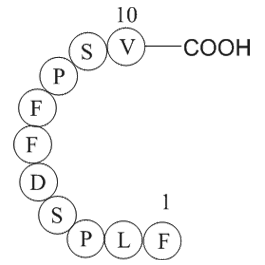 HBcAg [Hepatitis B virus] (18-27) Chemical Structure