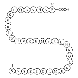 Parathyroid hormone (1-34) (human) Chemical Structure