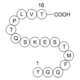 α-Endorphin Chemical Structure
