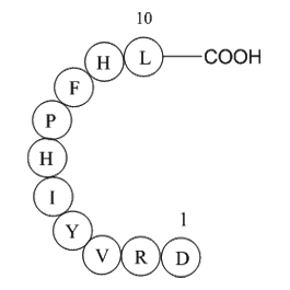 Angiotensin I (human, mouse, rat) Chemical Structure