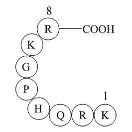 TRH Precursor Peptide Chemical Structure