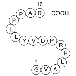 Immunoglobulin M heavy chain (IGHM) fragment [Homo sapiens] Chemical Structure