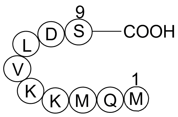 Anti-Inflammatory Peptide 1 Chemical Structure