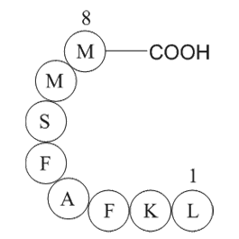 Influenza A virus fragment Chemical Structure