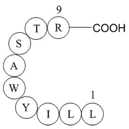 immunoglobulin light chain variable region fragment [Homo sapiens]/[Mus musculus] Chemical Structure