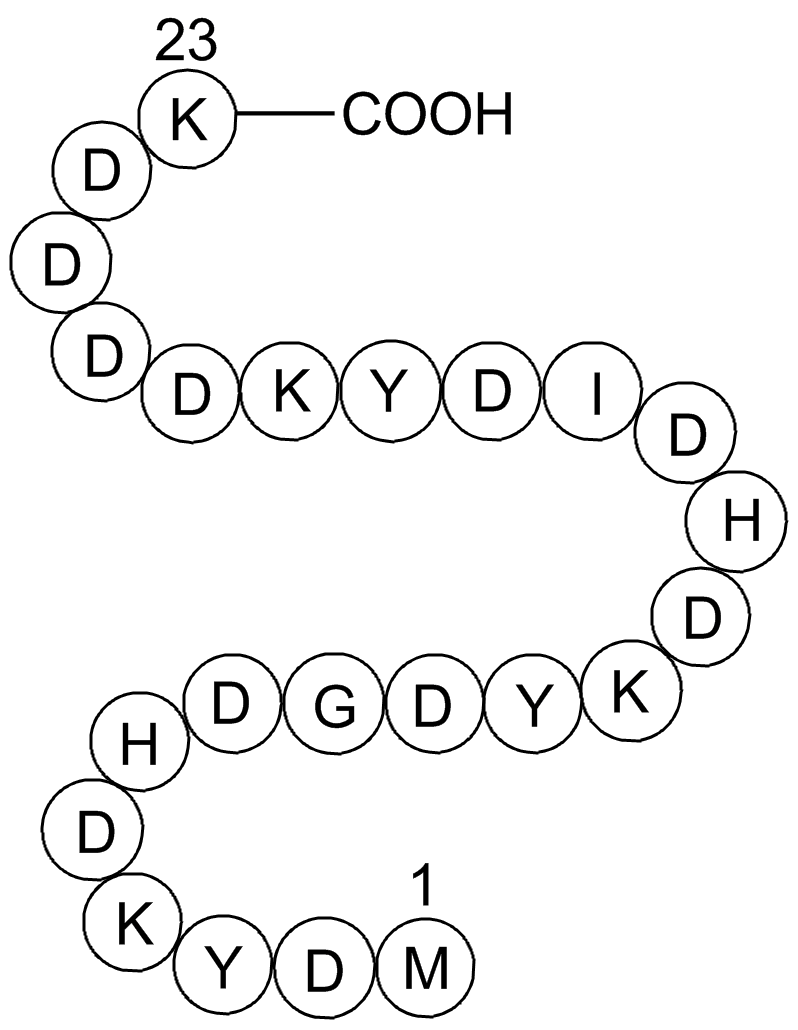 3X FLAG Peptide Chemical Structure